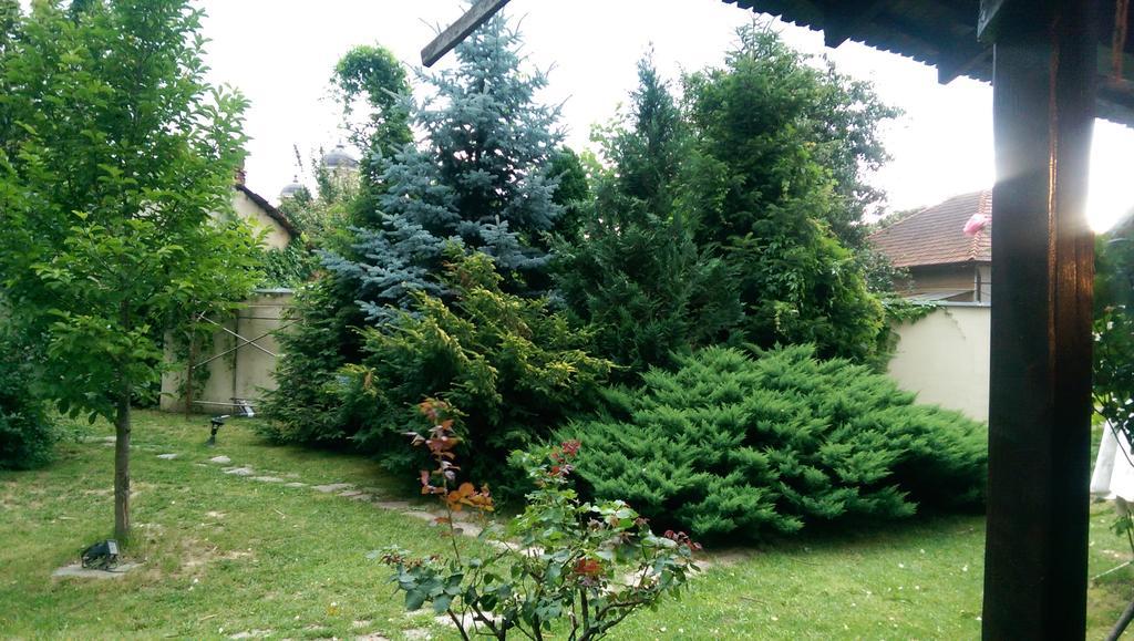 Pensiunea Eden Caransebeş Extérieur photo